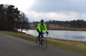 Tatton park
