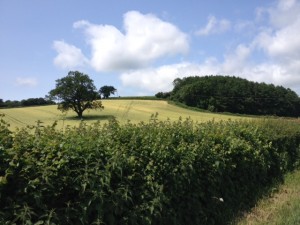 The Rolling Countryside North of Hereford